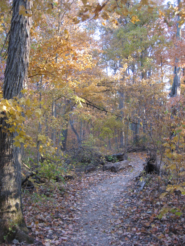 Bernheim Forest hiking